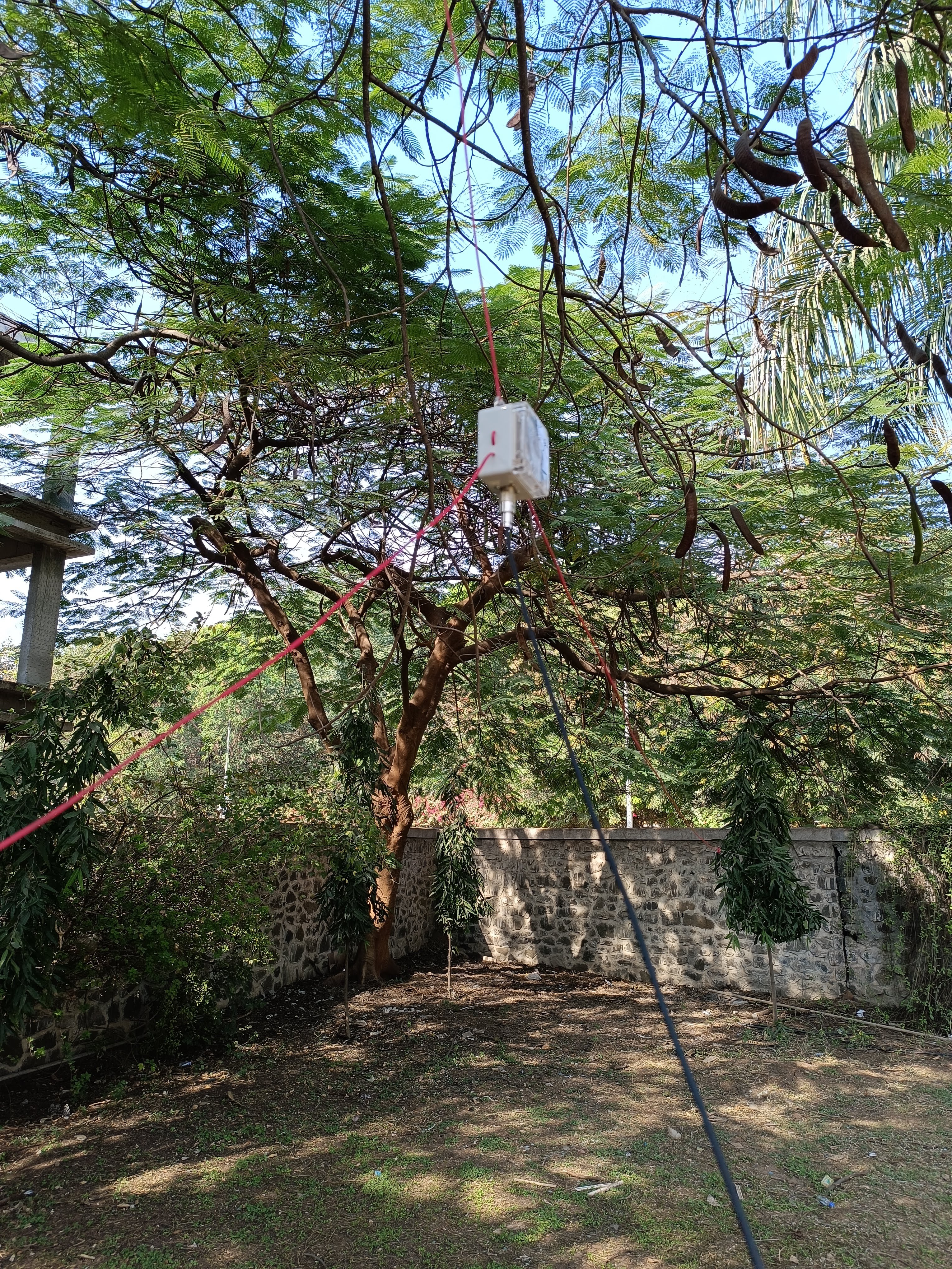 3-GP-In-Park-1